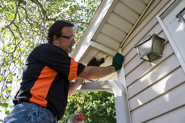 Best Moving and Downsizing Cleanouts  in Hampton Manor, NY